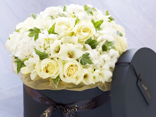 799744 (a): :2600x1950